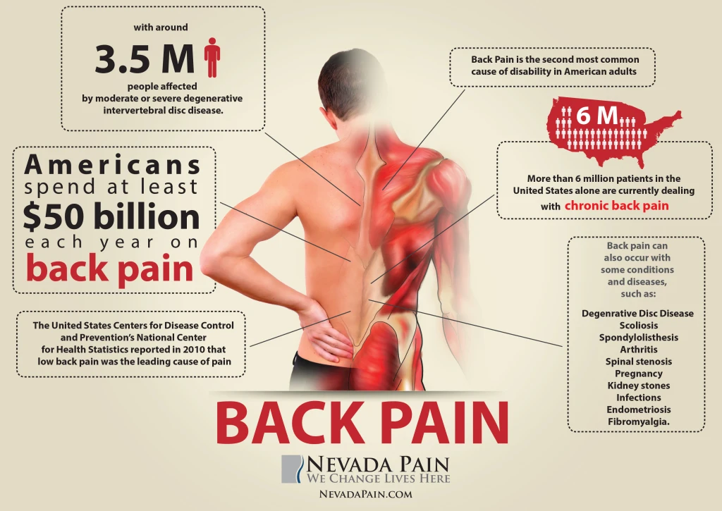 Effective Back Pain Relief Techniques To Ease Discomfort And Improve Mobility Naturally For Better Quality Of Life And Daily Activities.